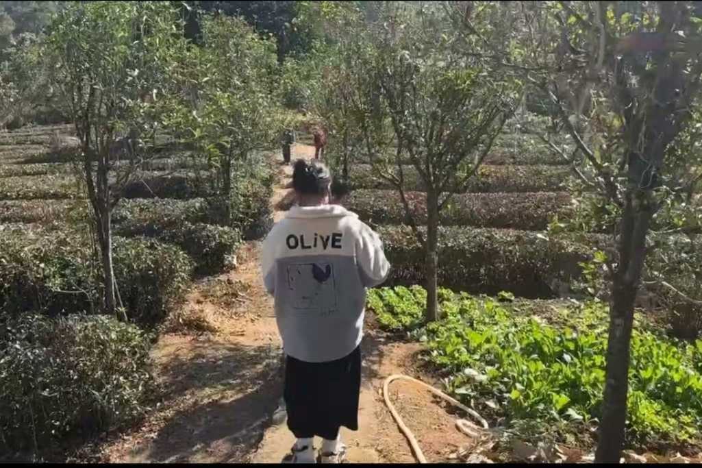 ɽ퍣ƽ@l(xing)d